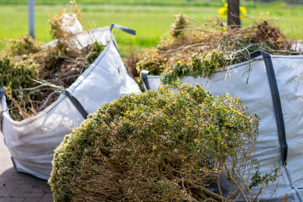 Best Trash Removal Near Me  in Delano, MN